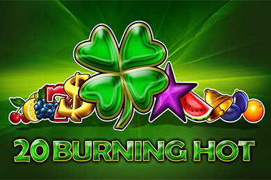 Egt Provide 20 Bh Ирвин Казино играть